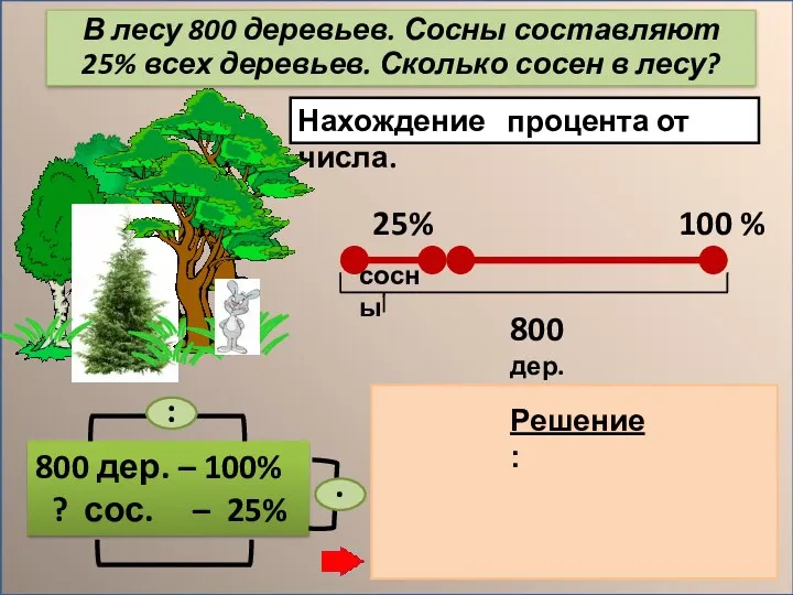 Нахождение процента от числа. 800 дер. – 100% ? сос. –