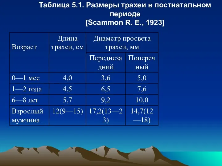 Таблица 5.1. Размеры трахеи в постнатальном периоде [Scammon R. E., 1923]