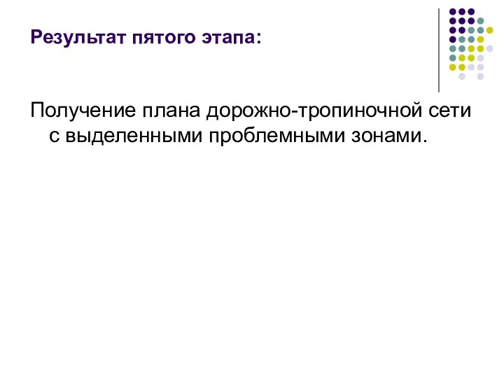 Результат пятого этапа: Получение плана дорожно-тропиночной сети с выделенными проблемными зонами.