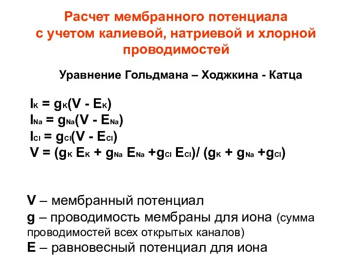 Расчет мембранного потенциала с учетом калиевой, натриевой и хлорной проводимостей V