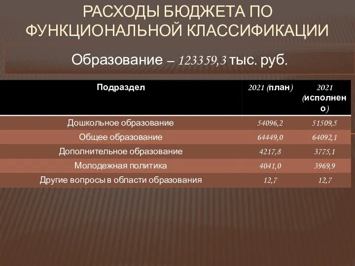 РАСХОДЫ БЮДЖЕТА ПО ФУНКЦИОНАЛЬНОЙ КЛАССИФИКАЦИИ Образование – 123359,3 тыс. руб.