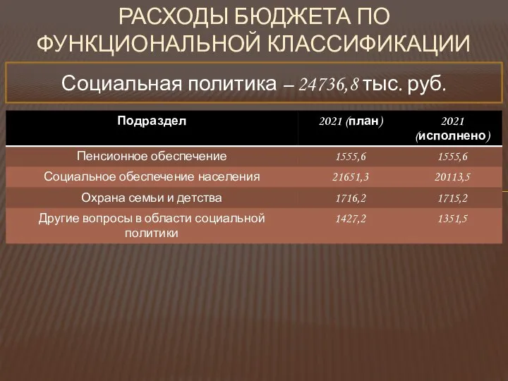 РАСХОДЫ БЮДЖЕТА ПО ФУНКЦИОНАЛЬНОЙ КЛАССИФИКАЦИИ Социальная политика – 24736,8 тыс. руб.