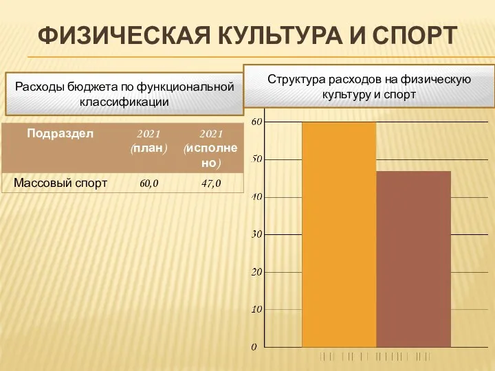 ФИЗИЧЕСКАЯ КУЛЬТУРА И СПОРТ Расходы бюджета по функциональной классификации Структура расходов на физическую культуру и спорт