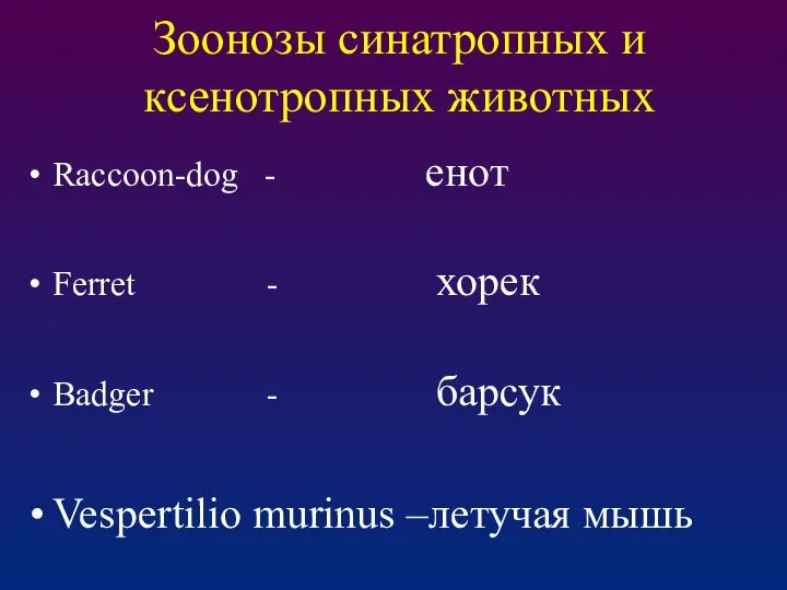 Зоонозы синатропных и ксенотропных животных Raccoon-dog - енот Ferret - хорек