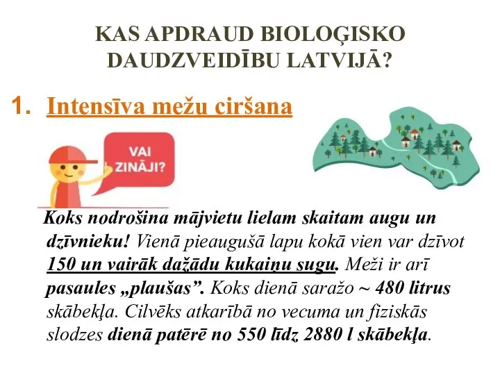 KAS APDRAUD BIOLOĢISKO DAUDZVEIDĪBU LATVIJĀ? Intensīva mežu ciršana Koks nodrošina mājvietu