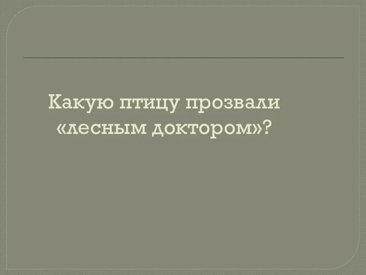 Какую птицу прозвали «лесным доктором»?