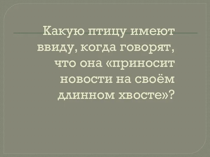 Какую птицу имеют ввиду, когда говорят, что она «приносит новости на своём длинном хвосте»?