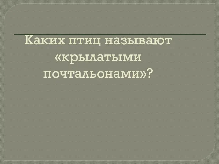 Каких птиц называют «крылатыми почтальонами»?