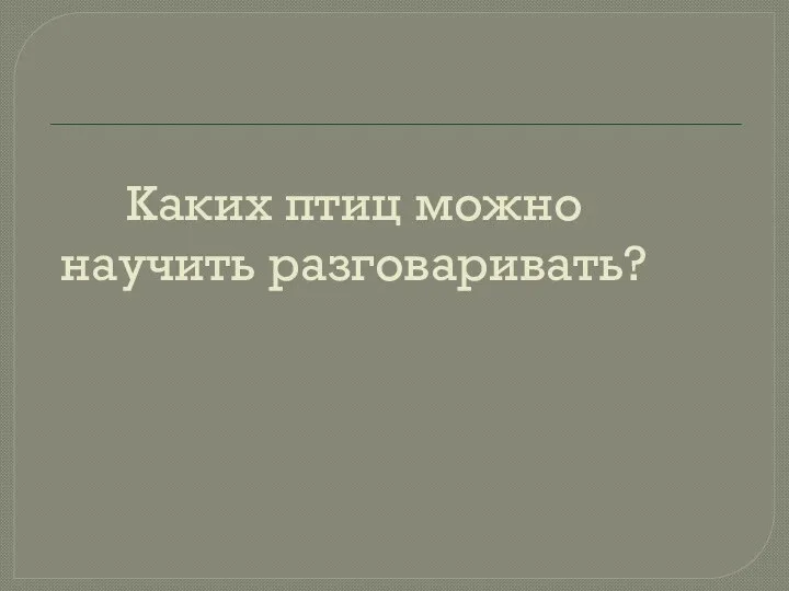 Каких птиц можно научить разговаривать?