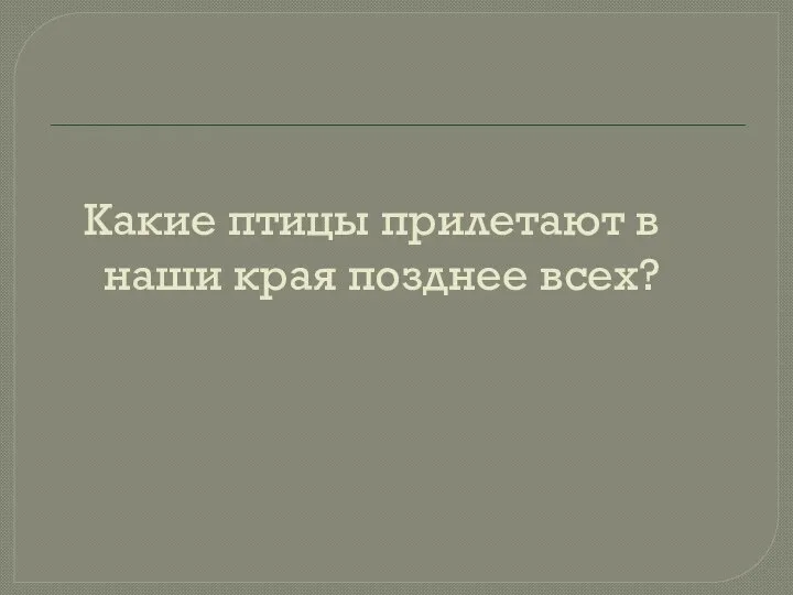 Какие птицы прилетают в наши края позднее всех?