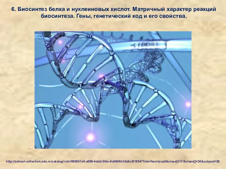 6. Биосинтез белка и нуклеиновых кислот. Матричный характер реакций биосинтеза. Гены,