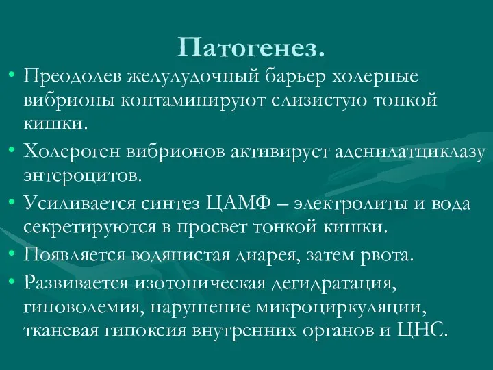 Патогенез. Преодолев желулудочный барьер холерные вибрионы контаминируют слизистую тонкой кишки. Холероген