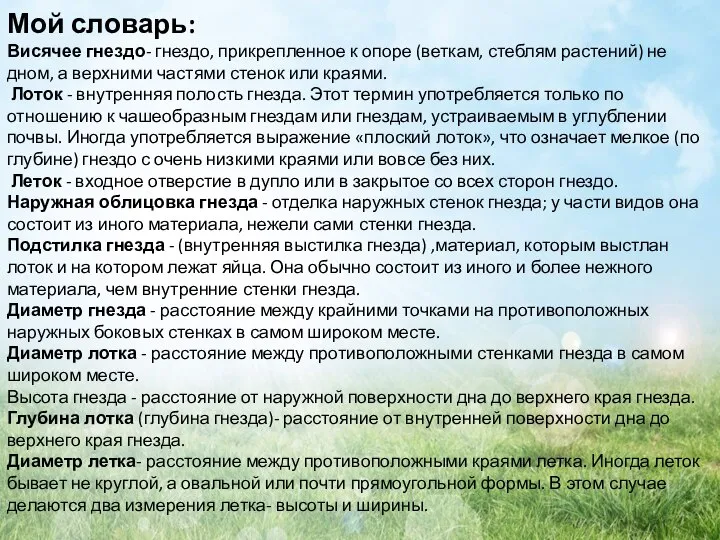 Мой словарь: Висячее гнездо- гнездо, прикрепленное к опоре (веткам, стеблям растений)