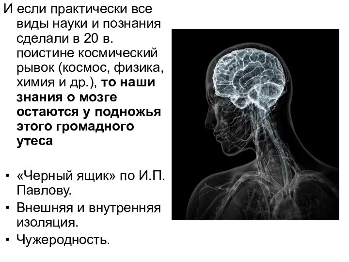 И если практически все виды науки и познания сделали в 20