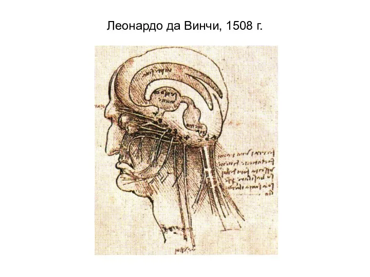 Леонардо да Винчи, 1508 г.