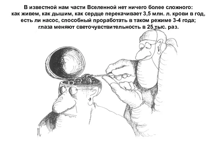 В известной нам части Вселенной нет ничего более сложного: как живем,