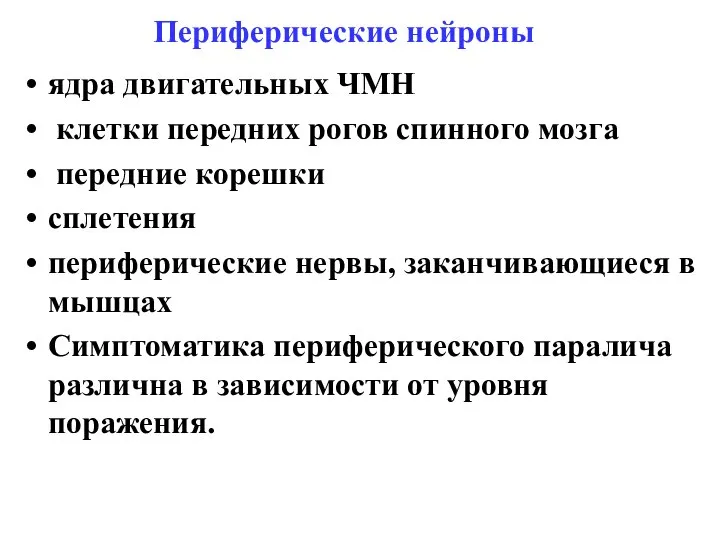 Периферические нейроны ядра двигательных ЧМН клетки передних рогов спинного мозга передние