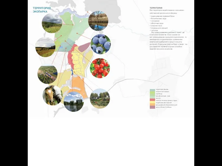 ТЕРРИТОРИЯ ЭКОПАРКА ТЕРРИТОРИЯ Вся территория задействована в сельскохо- зяйственной деятельности фермы: