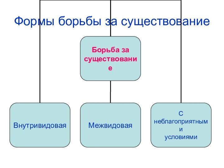 Формы борьбы за существование