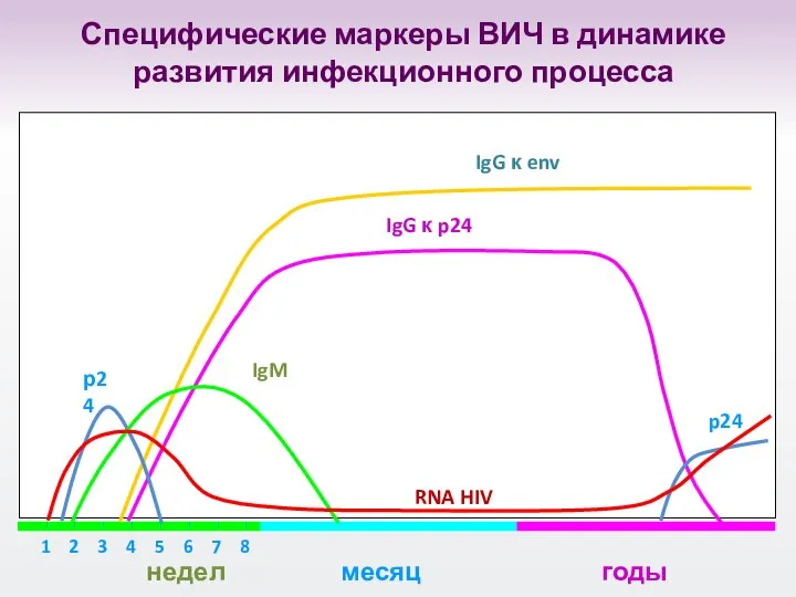 Специфические маркеры ВИЧ в динамике развития инфекционного процесса RNA HIV