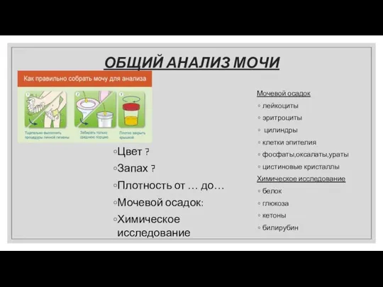 ОБЩИЙ АНАЛИЗ МОЧИ Цвет ? Запах ? Плотность от … до…