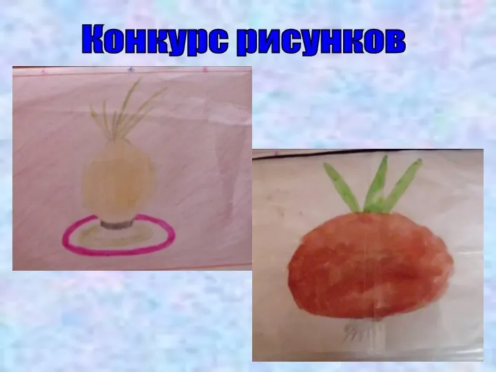 Конкурс рисунков