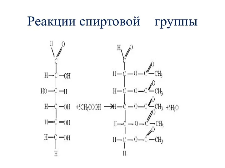 Реакции спиртовой группы