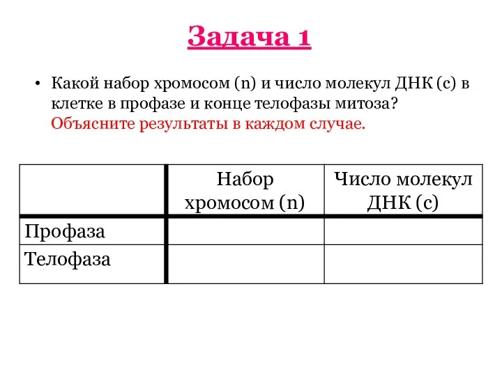 Задача 1 Какой набор хромосом (n) и число молекул ДНК (c)