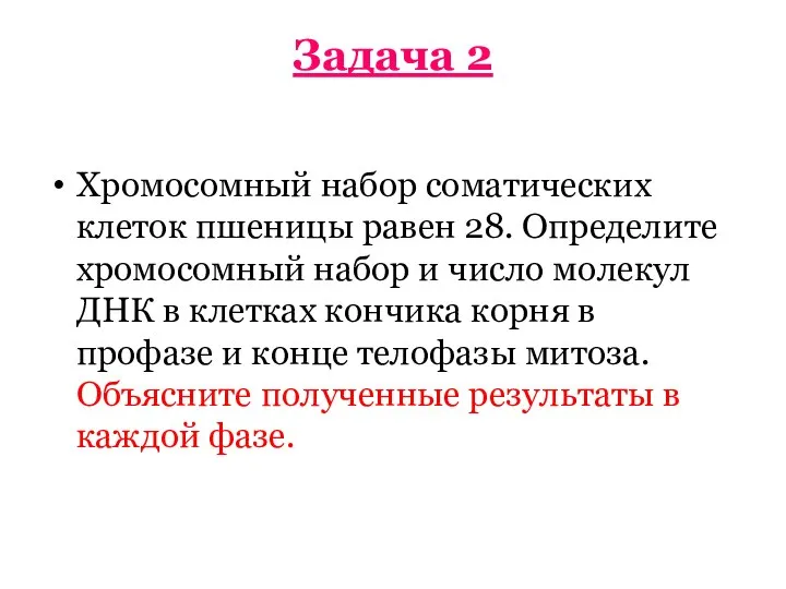 Задача 2 Хромосомный набор соматических клеток пшеницы равен 28. Определите хромосомный