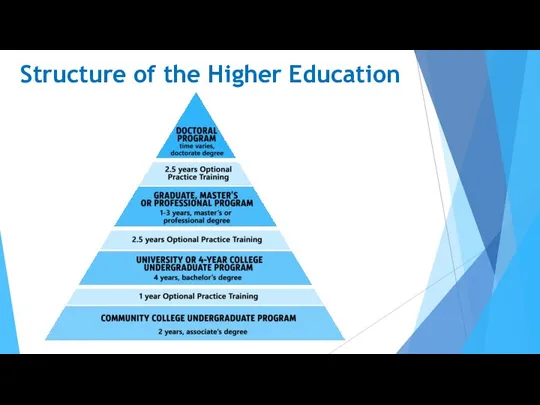 Structure of the Higher Education