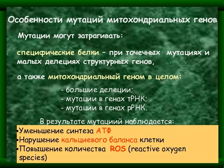 Уменьшение синтеза АТФ Нарушение кальциевого баланса клетки Повышение количества ROS (reactive