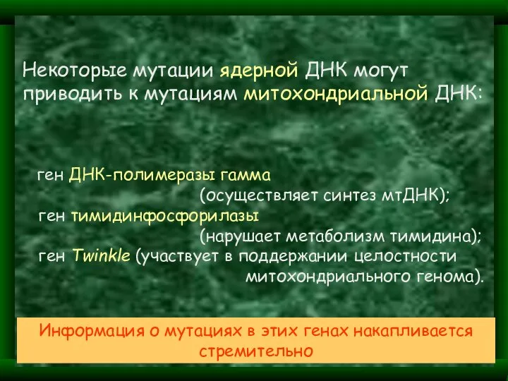 ген ДНК-полимеразы гамма (осуществляет синтез мтДНК); ген тимидинфосфорилазы (нарушает метаболизм тимидина);