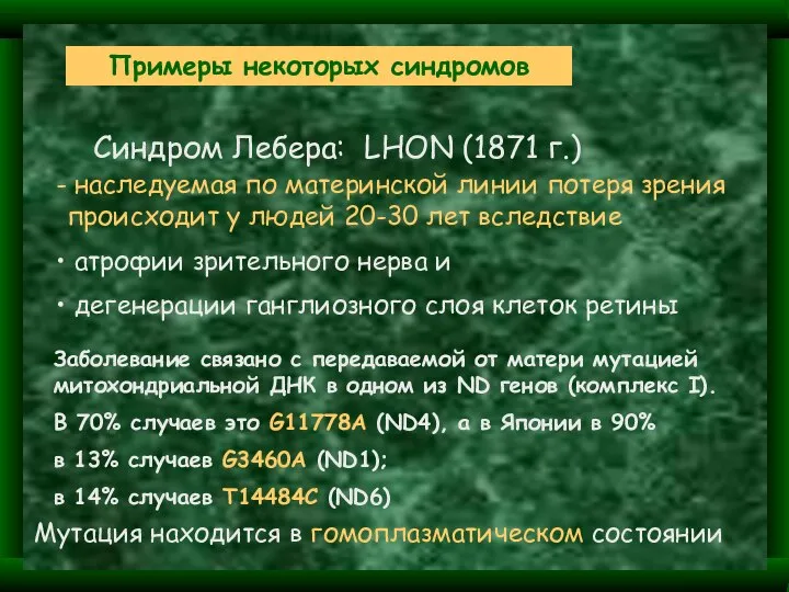 Синдром Лебера: LHON (1871 г.) наследуемая по материнской линии потеря зрения