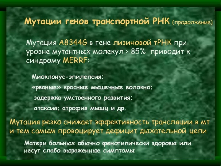 Мутация резко снижает эффективность трансляции в мт и тем самым провоцирует дефицит дыхательной цепи