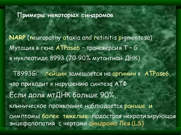 T8993G: лейцин замещается на аргинин в ATPase6, что приводит к нарушению