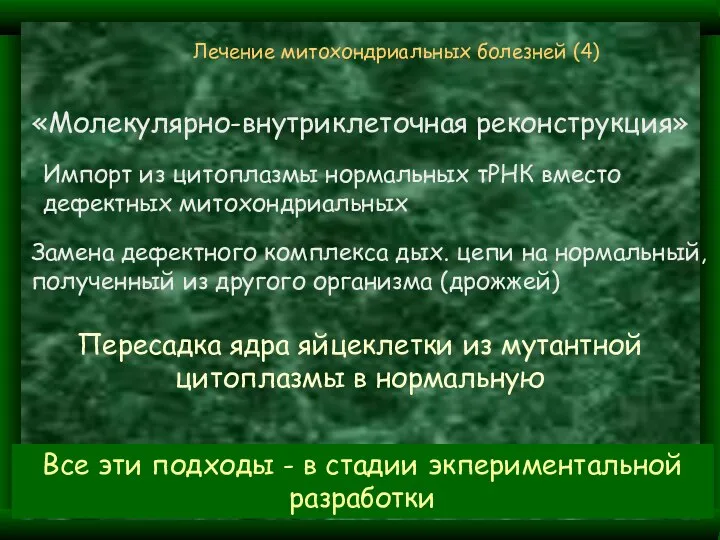 Лечение митохондриальных болезней (4) Импорт из цитоплазмы нормальных тРНК вместо дефектных