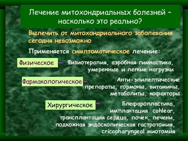 Лечение митохондриальных болезней –насколько это реально? Фармакологическое Вылечить от митохондриального заболевания