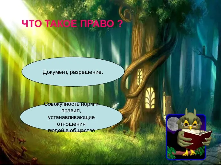 ЧТО ТАКОЕ ПРАВО ? Документ, разрешение. Совокупность норм и правил, устанавливающие отношения людей в обществе.