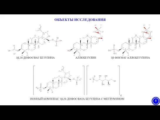 ОБЪЕКТЫ ИССЛЕДОВАНИЯ 3β,28-ДИФОСФАТ БЕТУЛИНА АЛЛОБЕТУЛИН 3β-ФОСФАТ АЛЛОБЕТУЛИНА ИОННЫЙ КОМПЛЕКС 3β,28-ДИФОСФАТА БЕТУЛИНА С МЕГЛУМИНОМ
