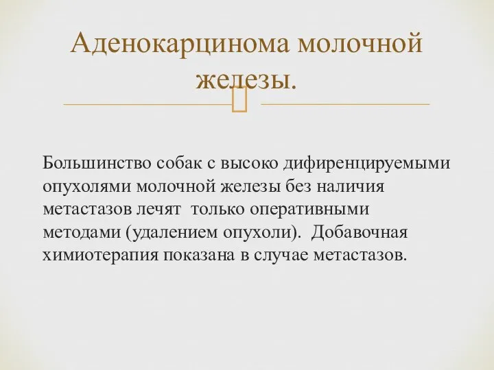 Большинство собак с высоко дифиренцируемыми опухолями молочной железы без наличия метастазов