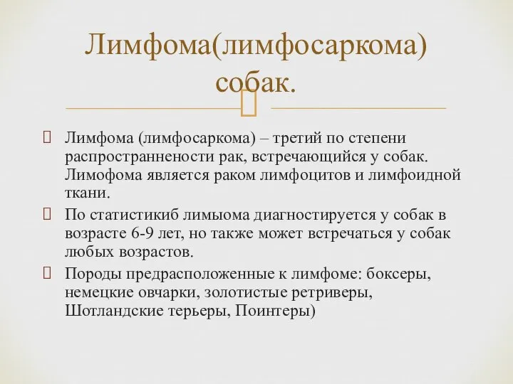 Лимфома (лимфосаркома) – третий по степени распространнености рак, встречающийся у собак.