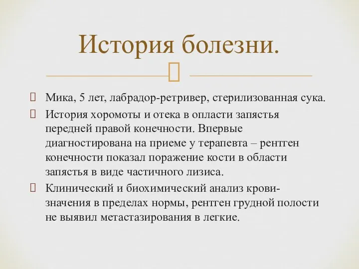 Мика, 5 лет, лабрадор-ретривер, стерилизованная сука. История хоромоты и отека в