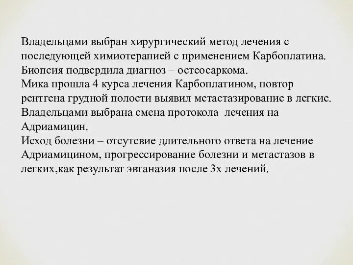 Владельцами выбран хирургический метод лечения с последующей химиотерапией с применением Карбоплатина.