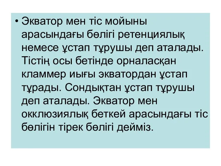 Экватор мен тіс мойыны арасындағы бөлігі ретенциялық немесе ұстап тұрушы деп