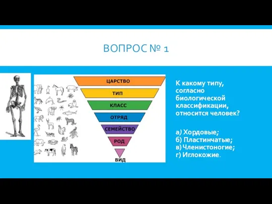 ВОПРОС № 1 К какому типу, согласно биологической классификации, относится человек?