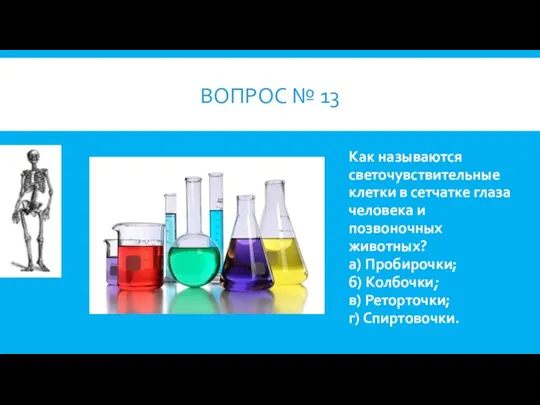 ВОПРОС № 13 Как называются светочувствительные клетки в сетчатке глаза человека