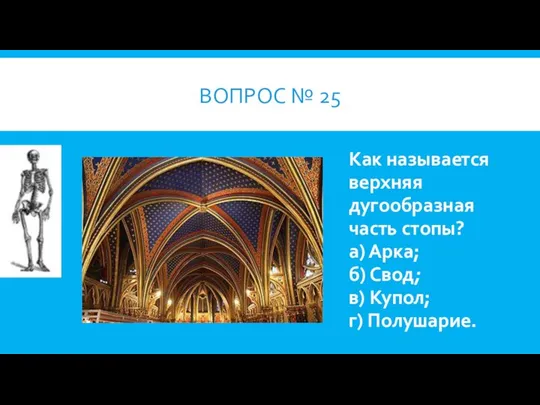 ВОПРОС № 25 Как называется верхняя дугообразная часть стопы? а) Арка;