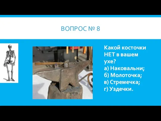 ВОПРОС № 8 Какой косточки НЕТ в вашем ухе? а) Наковальни;