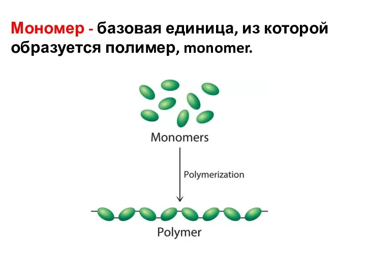 Мономер - базовая единица, из которой образуется полимер, monomer.