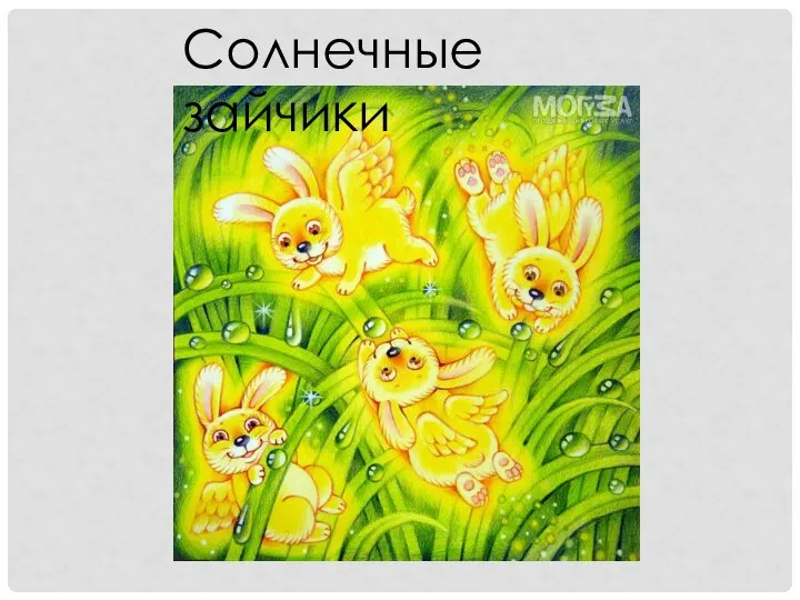 Солнечные зайчики